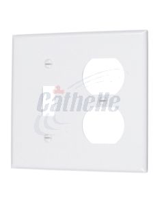 COMBO SWITCH & DUPLEX OUTLET