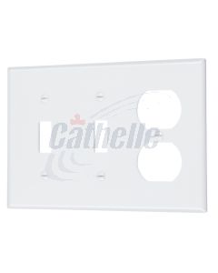 COMBO DOUBLE SWITCH & DUPLEX OUTLET