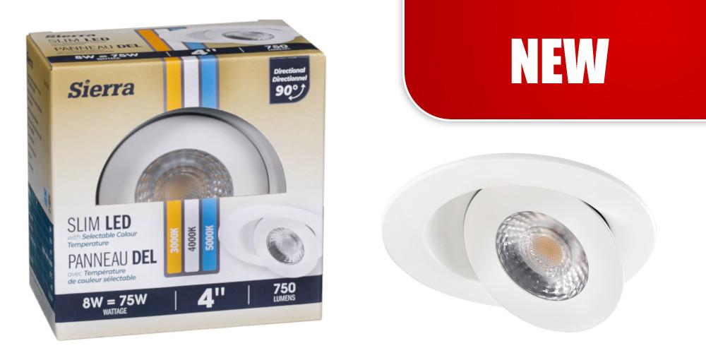 SLIM 4” DIRECTIONAL LED RECESSED w/SELECTABLE COLOUR TEMPERATURE